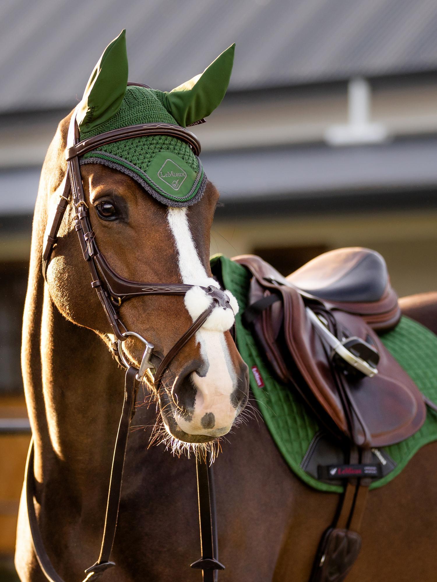 LeMieux Classic Fly Hood - Core Colours
