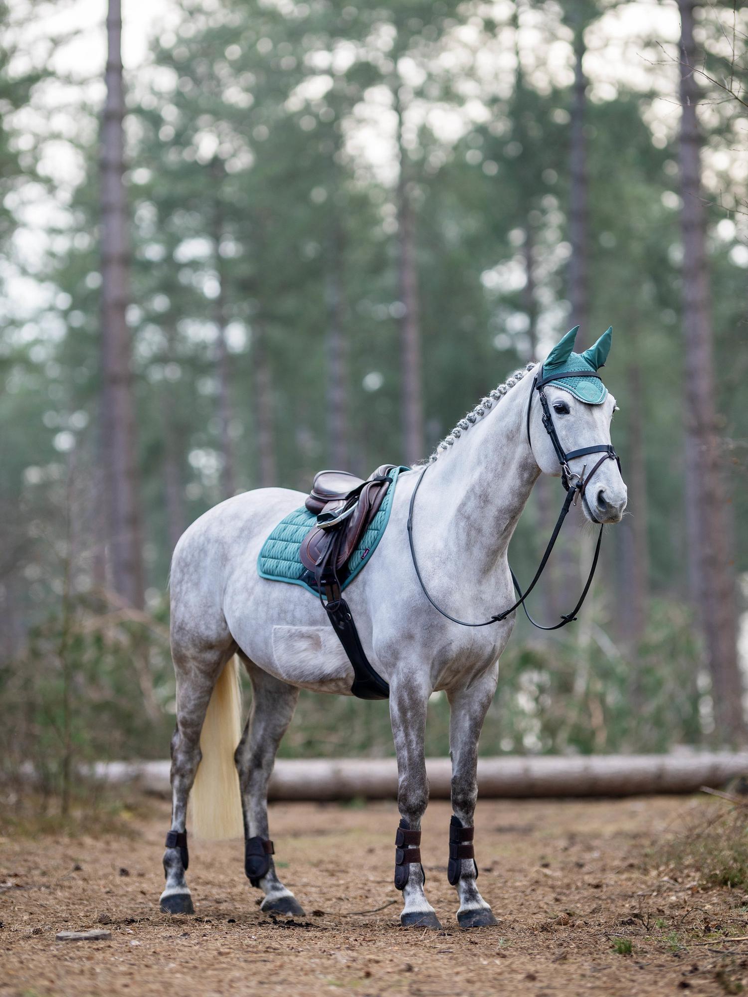 LeMieux Classic Fly Hood - Core Colours