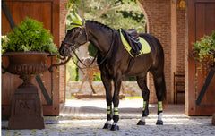 LeMieux Suede Close Contact Square - Seasonal Collections