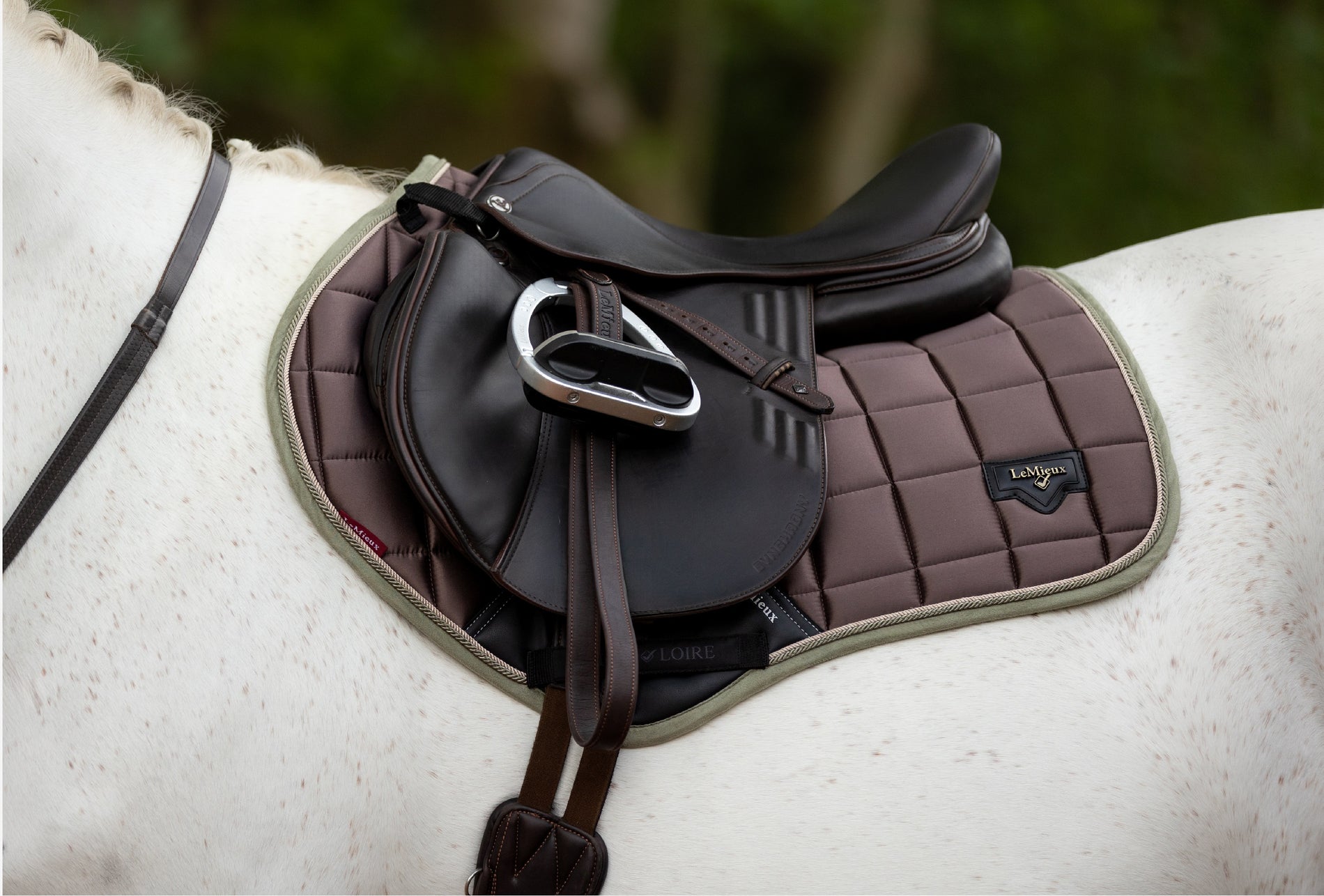 LeMieux Loire Close Contact Square - Seasonal Collections