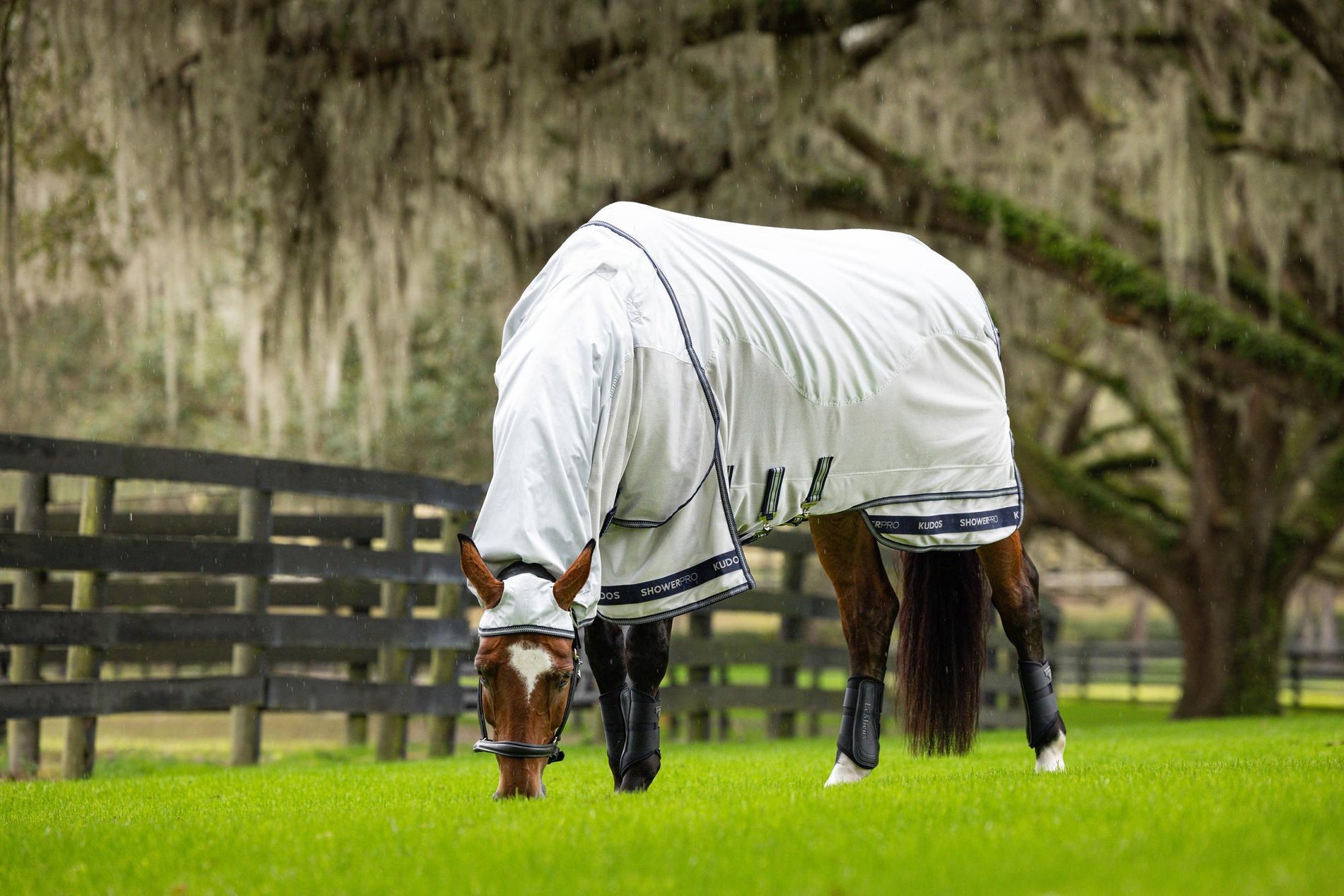 LeMieux Kudos Shower Pro Waterproof Fly Rug