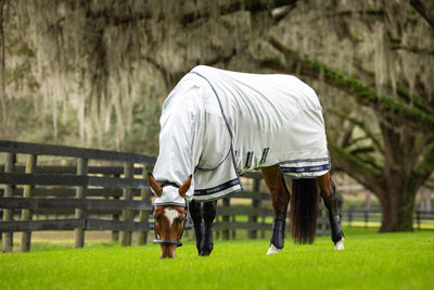 LeMieux Kudos Shower Pro Waterproof Fly Rug