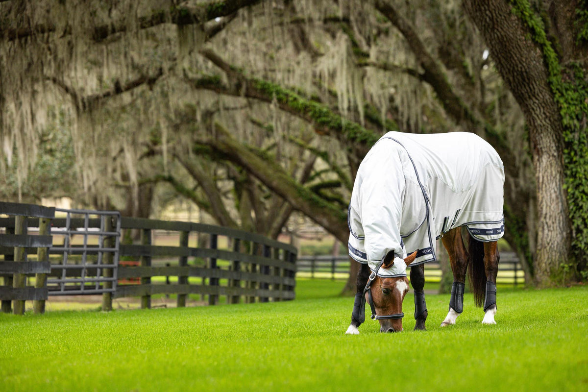 LeMieux Kudos Shower Pro Waterproof Fly Rug