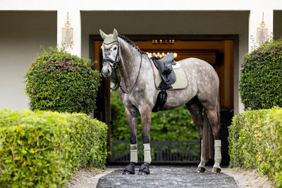 LeMieux Merino+ Suede Dressage Square