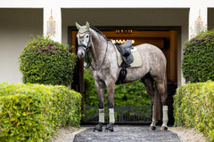 LeMieux Merino+ Suede Dressage Square