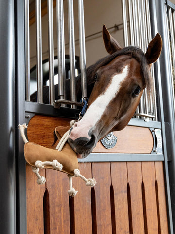 LeMieux Horse Toy - Sausage Dog