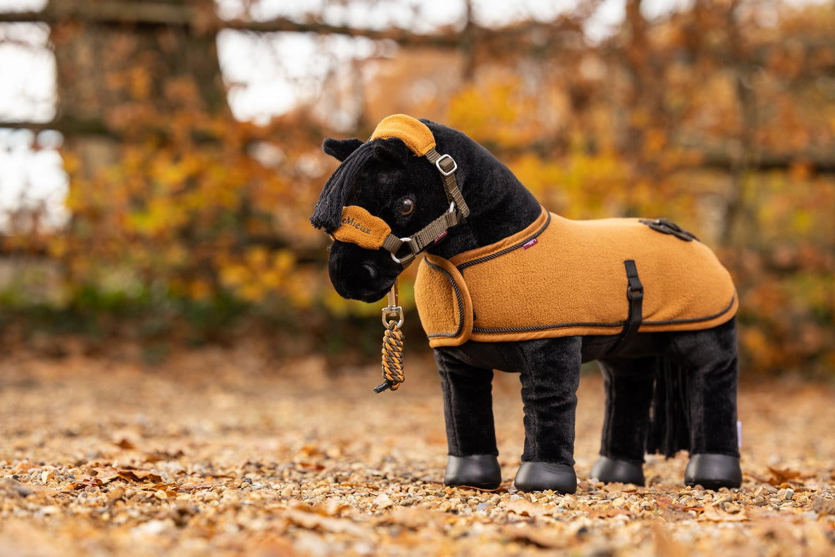 LeMieux Toy Pony Show Rug