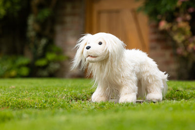 LeMieux Toy Puppy