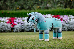 LeMieux Toy Pony Show Rug