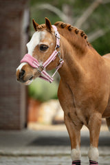 LeMieux Mini Vogue Headcollar