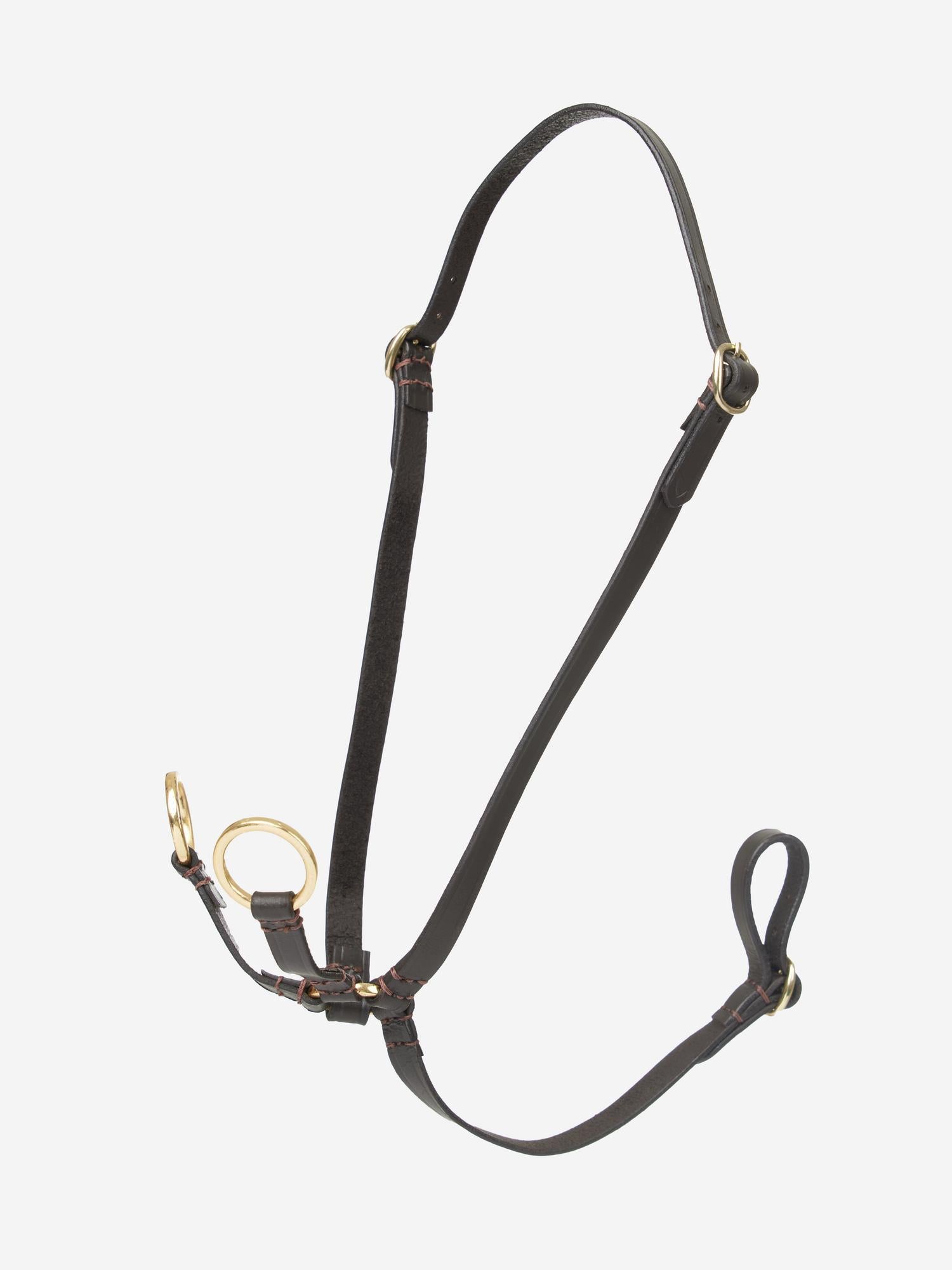 LeMieux Hobby Horse Running Martingale