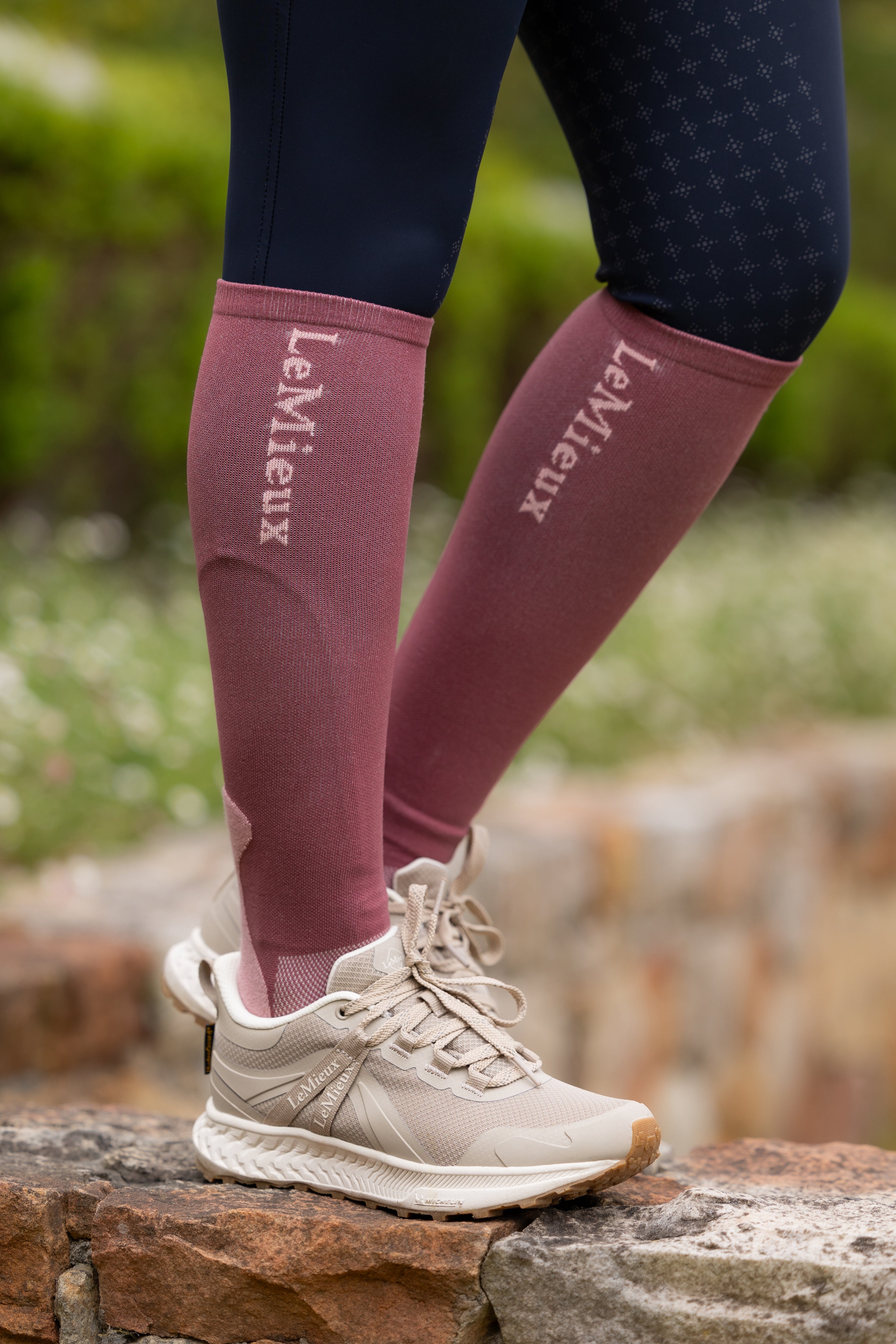 Chaussettes de compétition LeMieux (lot de 2) – Cinder Chaussettes de compétition LeMieux (lot de 2) – Cinder