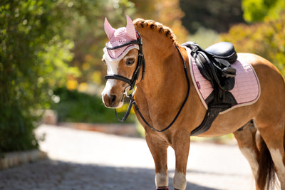 LeMieux Mini Fly Hood