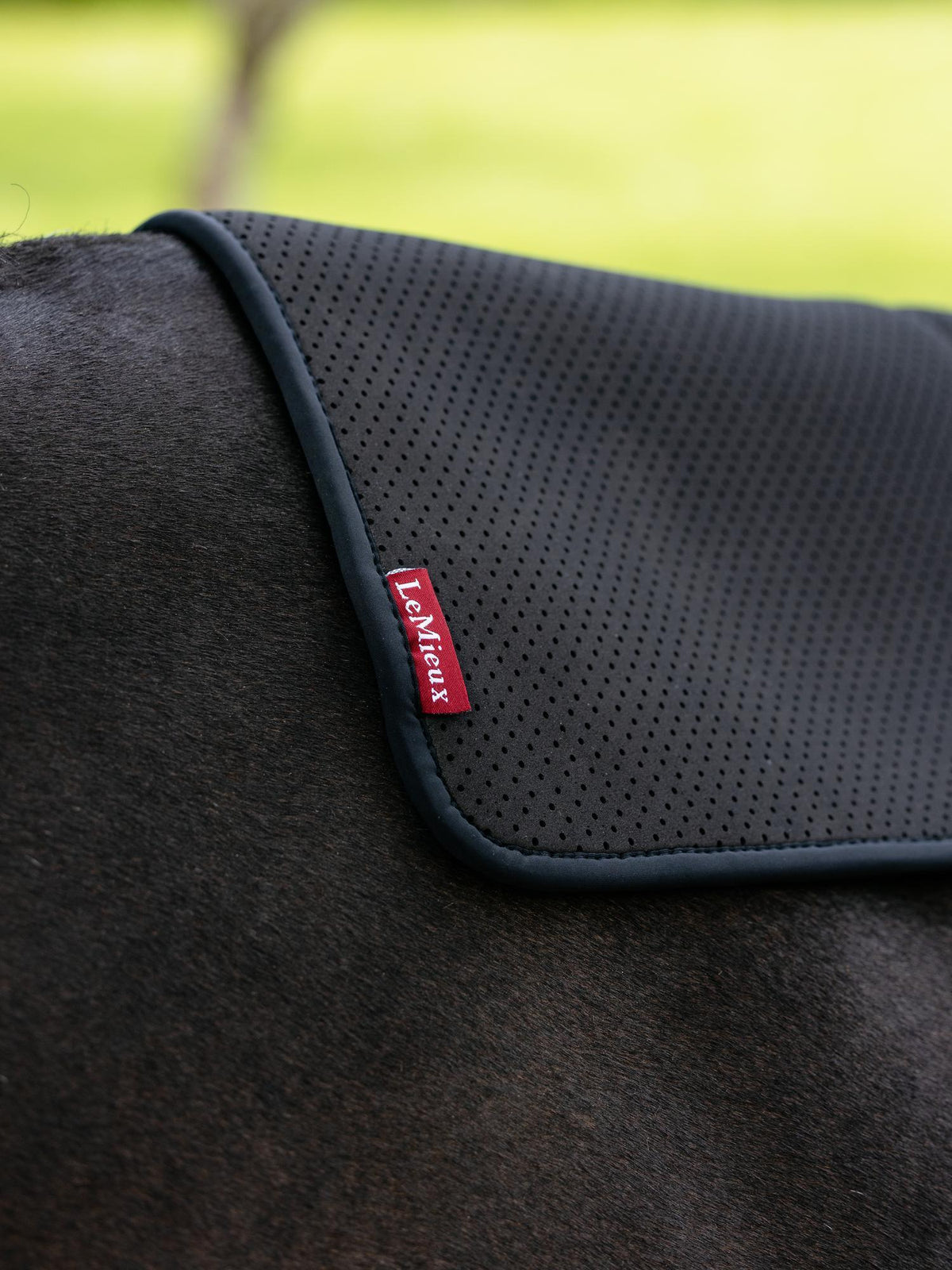 LeMieux Non-Slip Half Pad Square