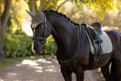LeMieux Classic Fly Hoods - Seasonal Collections