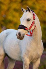 LeMieux Mini Vogue Headcollar