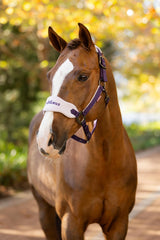 Vogue Headcollar & Rope