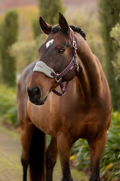 Vogue Headcollar & Rope