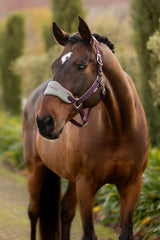Vogue Headcollar & Rope