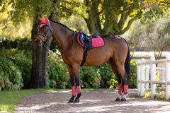 LeMieux Loire Close Contact Square - Seasonal Collections