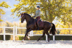 LeMieux Loire Classic Dressage Square