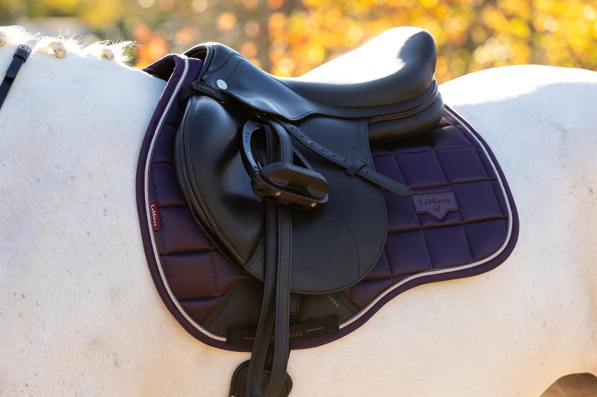 LeMieux Loire Classic GP Square