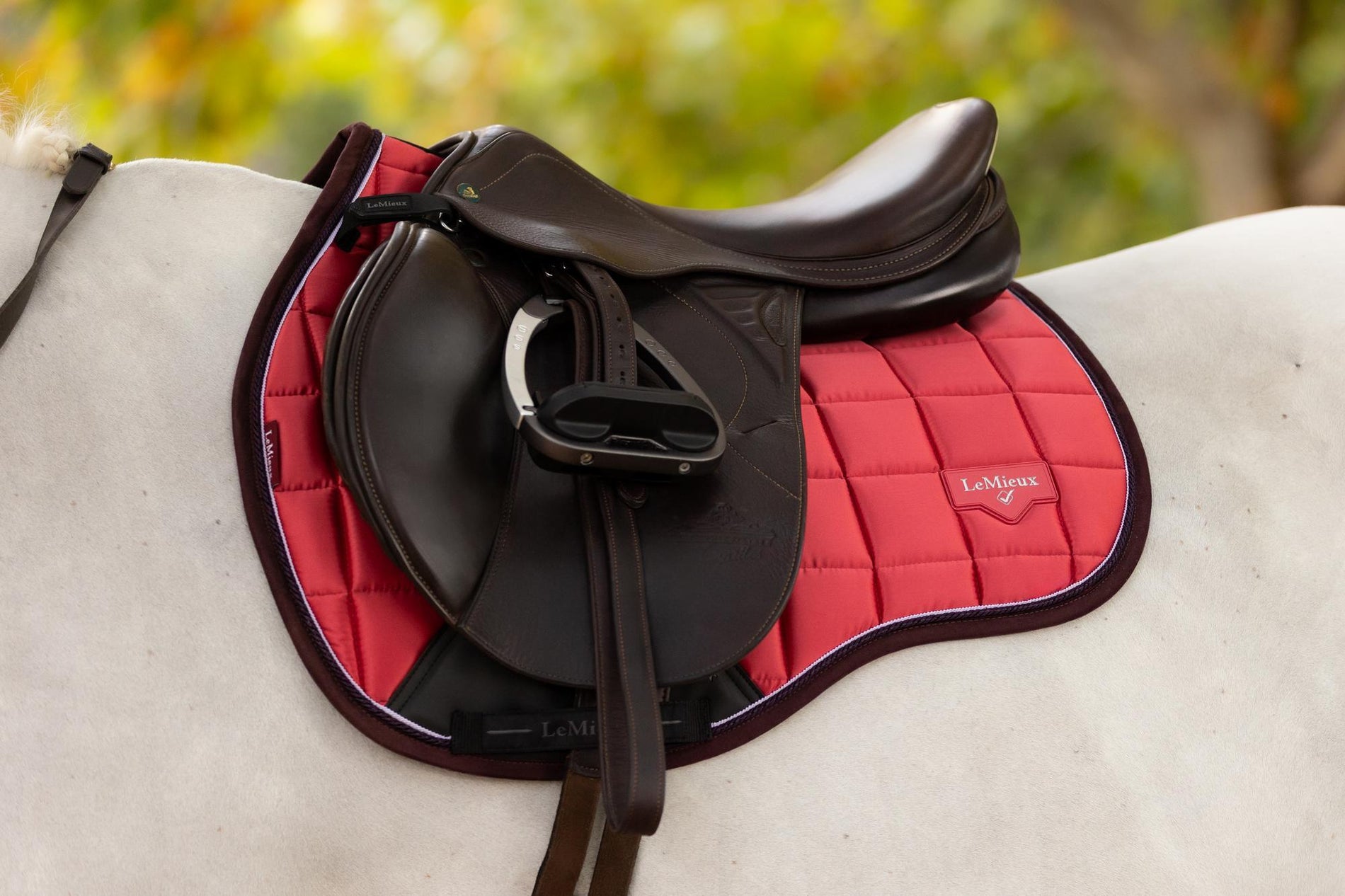 LeMieux Loire Classic GP Square