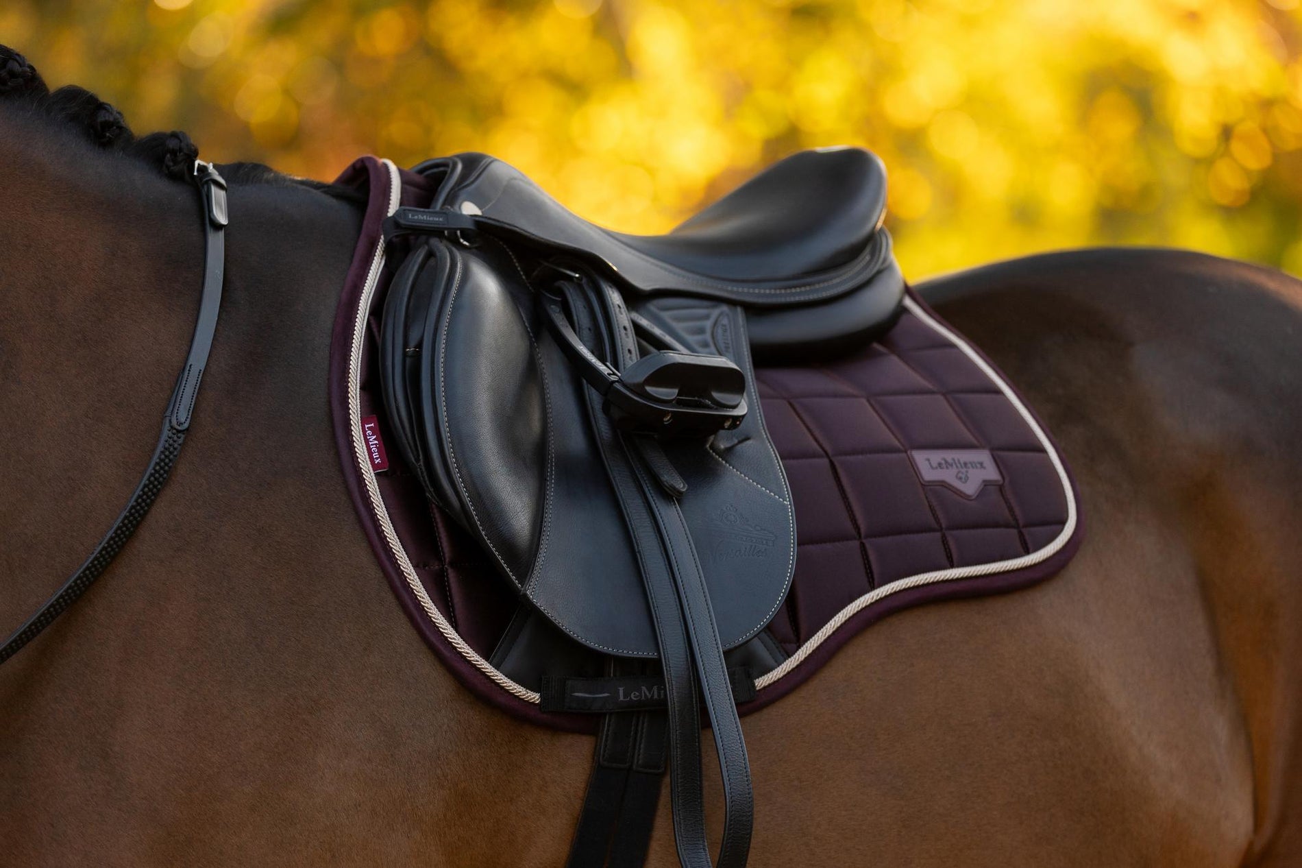 LeMieux Loire Classic GP Square