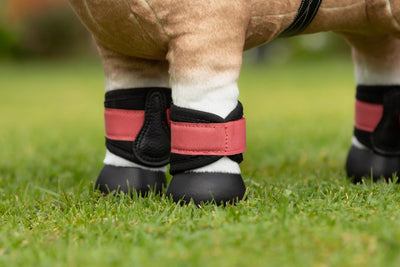 LeMieux Toy Pony Grafter Boots