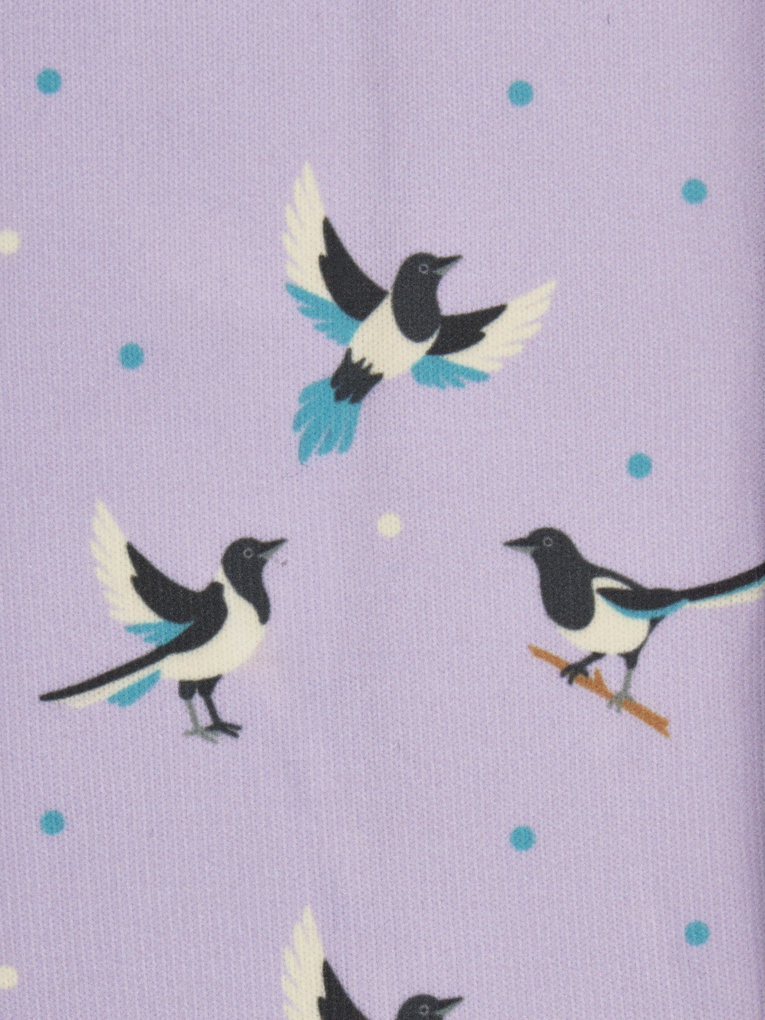 LeMieux Adult Footsie Socks
