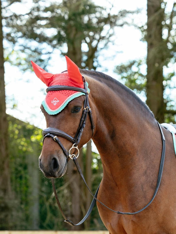 LeMieux Harlow Fly Hood
