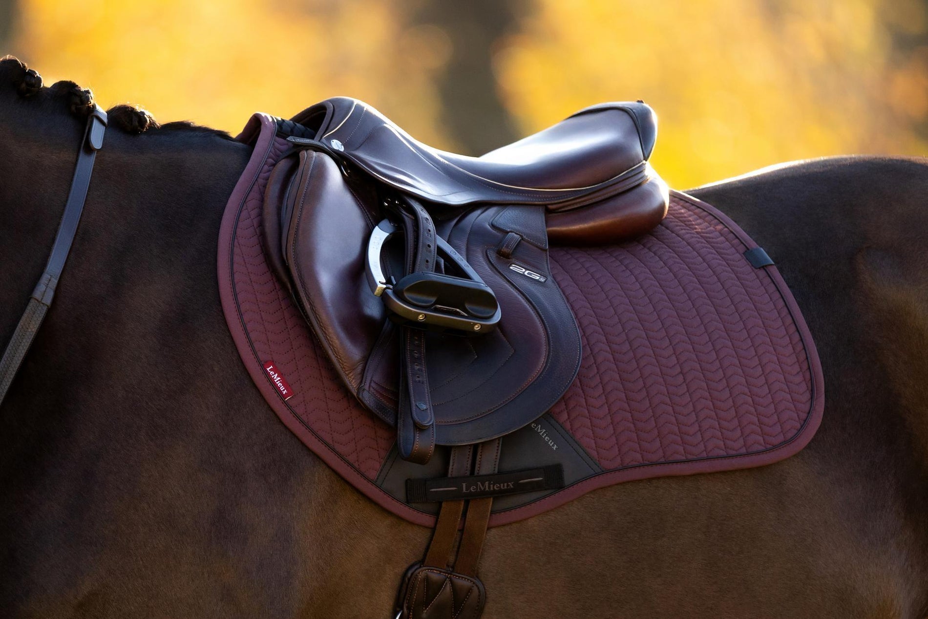 LeMieux Essence Eurojump Square
