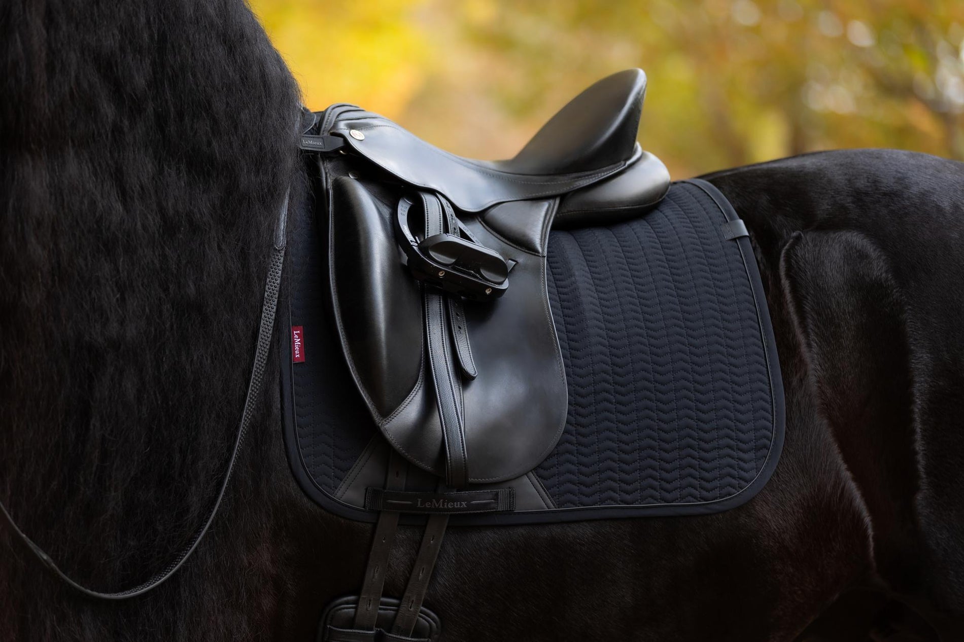 LeMieux Essence Dressage Square