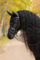 LeMieux Essence Acoustic Fly Hood