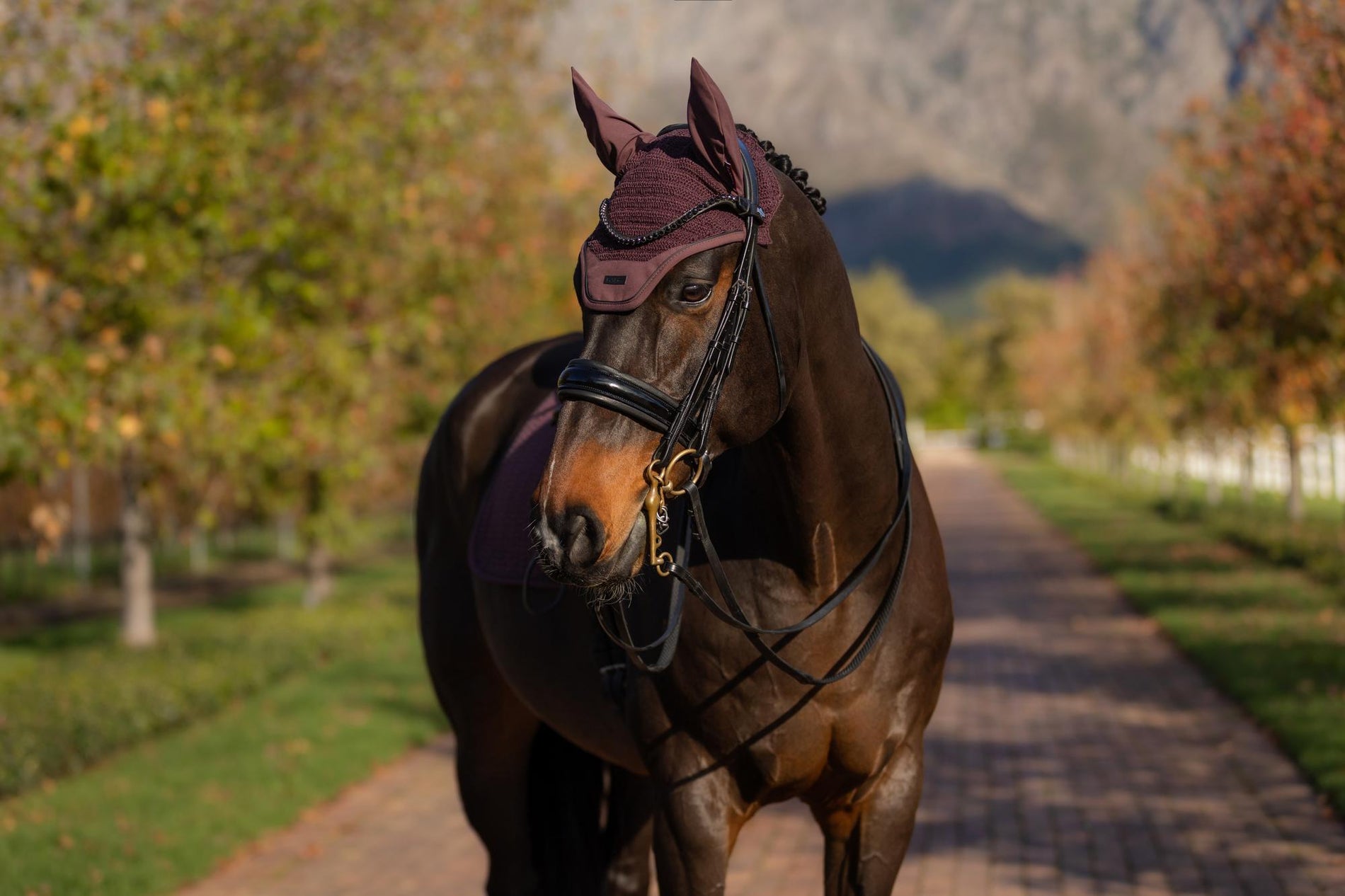 LeMieux Essence Acoustic Fly Hood