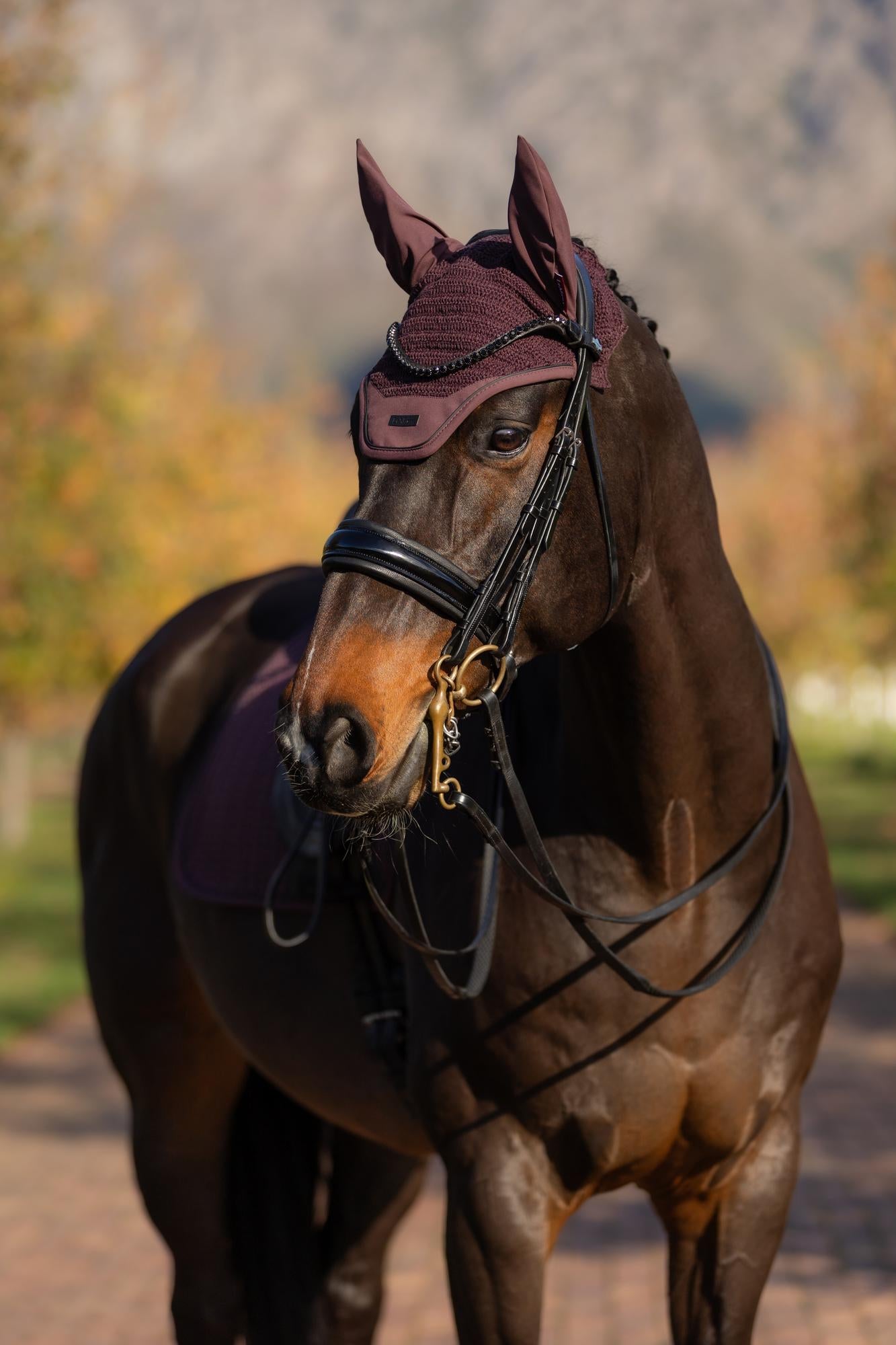 LeMieux Essence Acoustic Fly Hood