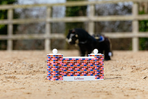 LeMieux Toy Pony Puissance Wall