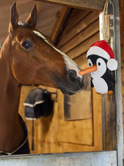 LeMieux Horse Toy - Penguin