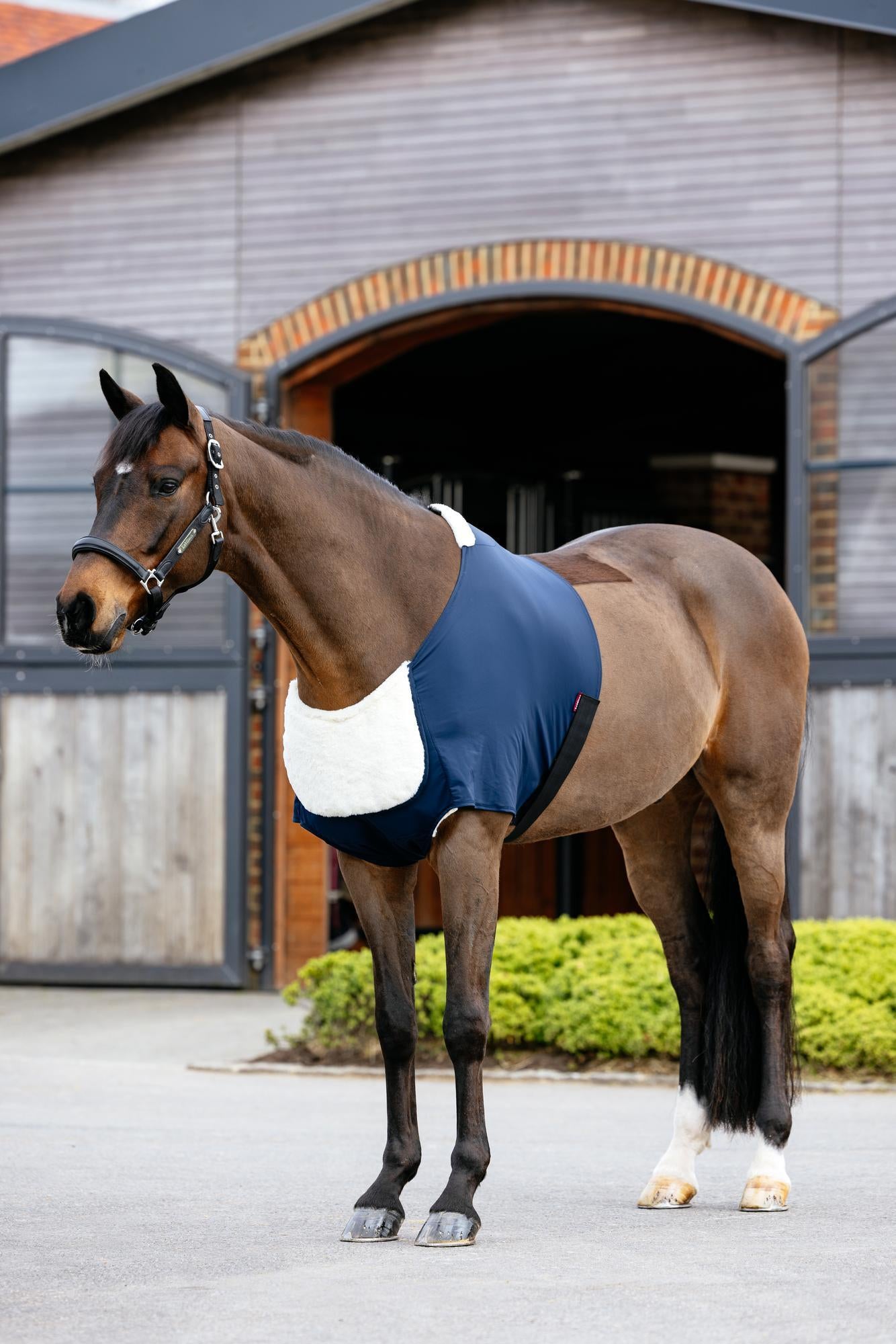LeMieux Sensitive Anti Rub Bib