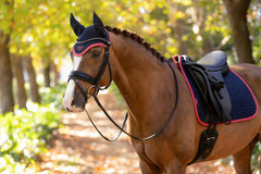 LeMieux Classic Fly Hoods - Seasonal Collections
