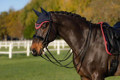 LeMieux Loire Fly Hood