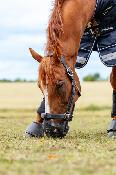 LeMieux Noma Grazing Muzzle