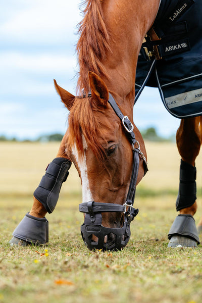 LeMieux Noma Grazing Muzzle