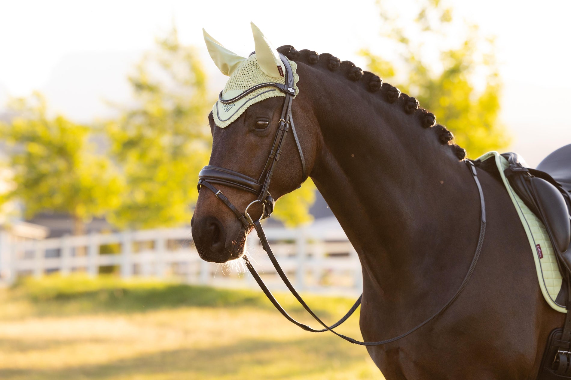 LeMieux Classic Fly Hoods - Seasonal Collections