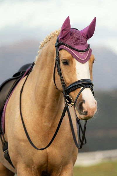 LeMieux Classic Fly Hoods - Seasonal Collections