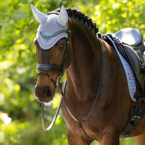 LeMieux Classic Fly Hoods - Seasonal Collections