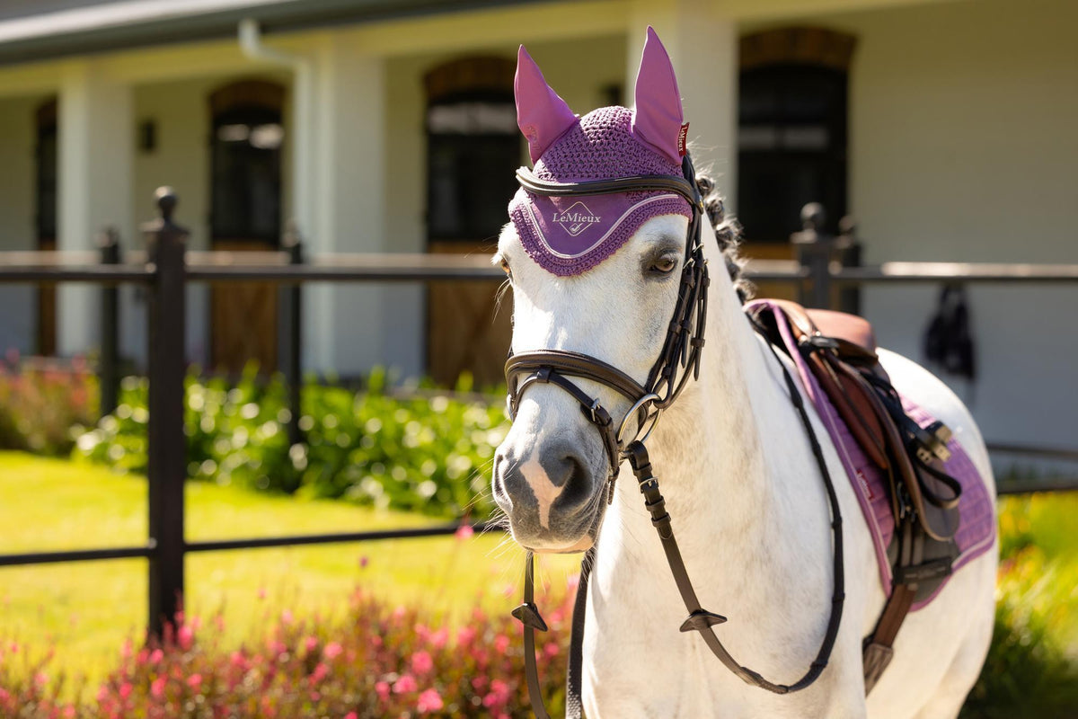 LeMieux Mini Fly Hood