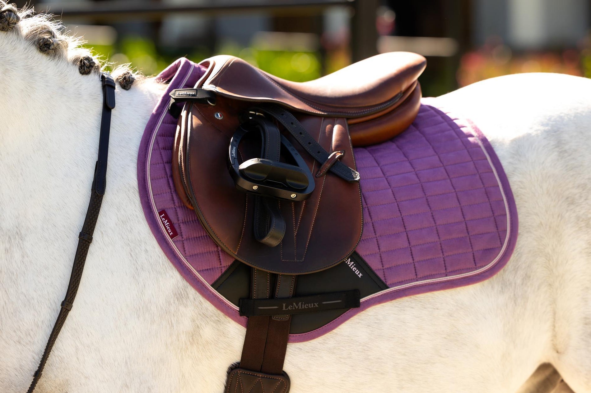 LeMieux Mini Jump Suede Square