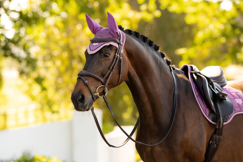 LeMieux Loire Fly Hood