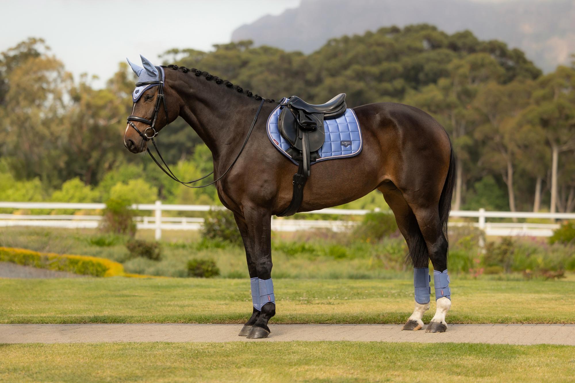 LeMieux Loire Close Contact Square - Seasonal Collections